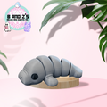 Fidget Manatee